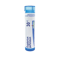 EUPATORIUM PERFOLIATUM 30c 80 Pellets by Boiron