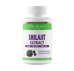 SHILAJIT 60 Vegetarisch Kapseln
