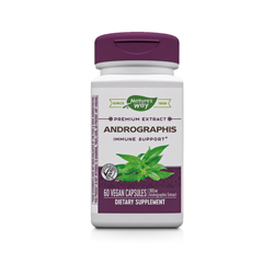 ANDROGRAPHIS 60 Vegetarische Kapseln