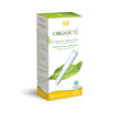 Imagen de PROTEGESLIPS DE ALGODON NATURAL PARA LA HIGIENE FEMININO (Ligero) 24 Unidades