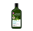 Imagen de CHAMPÚ TRATAMIENTO PARA EL CUERO CABELLUDO (Orgánico – Árbol de Té) 325ml
