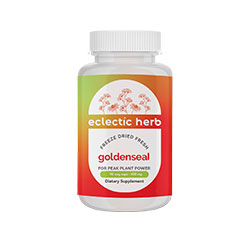GOLDENSEAL (Freeze-Dried Fresh) 400mg 90 Vegetarian Capsules by Eclectic Institute
