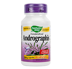 ANDROGRAPHIS 60 Vegetarian Capsules by Natures Way