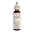 Image of BACH HORNBEAM 20ml