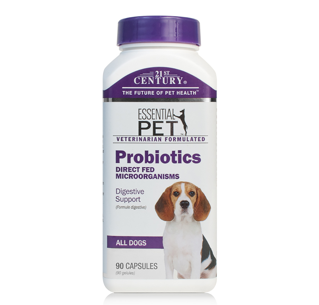 Probiotics For Dogs 90 Capsules 21st Century Pet Health