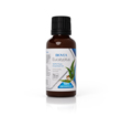 Afbeelding van EUCALYPTUS ETHERISCHE OLIE 30ml